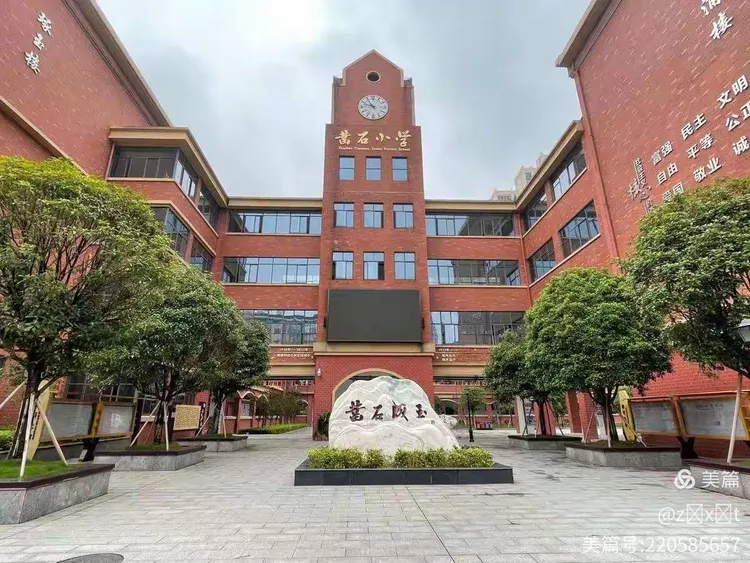 湖南工业大学体育学院株洲市天元区凿石小学见习队周报